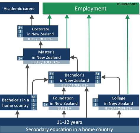 what is tertiary education nz